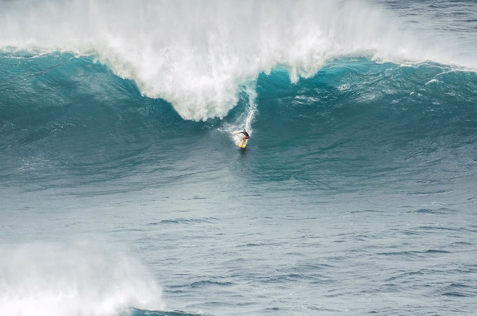Is Wave Accounting Still the Best Free Option? A 2025 Review