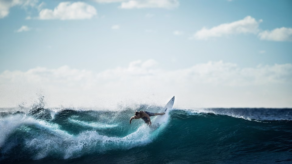 Wave Accounting Costs Explained: What You Need to Know Before You Subscribe Wave Accounting Costs Explained: What You Need to Know Before You Subscribe