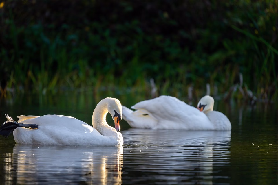 CRM and E-Invoicing: The Ultimate Duo for Financial Success