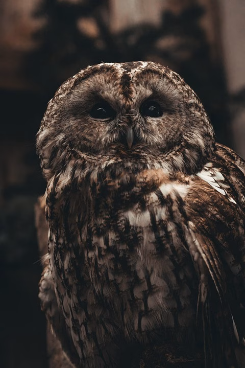 Choosing Wisely: The Ultimate Identity Theft Protection Tools for 2025 Choosing Wisely: The Ultimate Identity Theft Protection Tools for 2025
