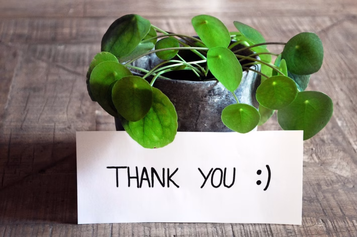 Feedback Culture: Enhancing Team Performance through Open Communication