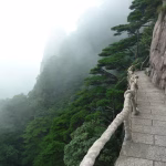 Navigating Challenges: Common Asana Pitfalls and How to Avoid Them