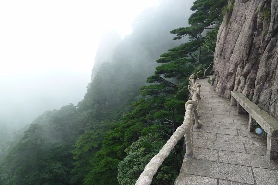 Navigating Challenges: Common Asana Pitfalls and How to Avoid Them