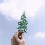 AI in the Cloud: How SaaS is Enhancing Decision-Making Processes