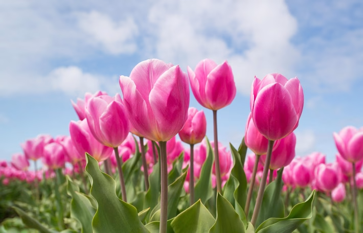 Navigating the Cloud: Cost-Effective Alternatives for Server Management