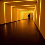 In a Hurry to Grow: Exploring the Fastest-Growing SaaS Innovations