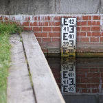 Level Up Your Task Management: Harnessing Notion for Better Focus