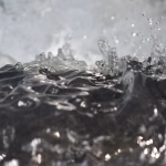 Unlocking Potential: The Impact of Seed Funding on Biotech Progress