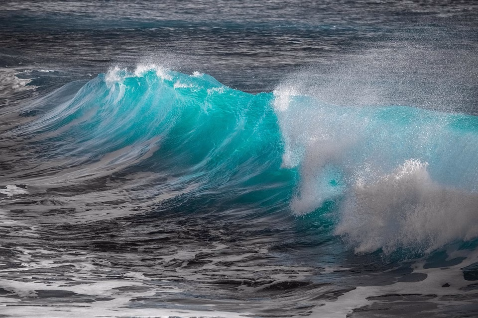 The New Wave of SaaS: Fast-Growing Tools Making a Mark in 2023 The New Wave of SaaS: Fast-Growing Tools Making a Mark in 2023