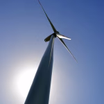 Sustainability as a Business Model: Why Going Green is Good for Profit