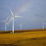 Sustainability in Software: Predictions for Green Innovations by 2025