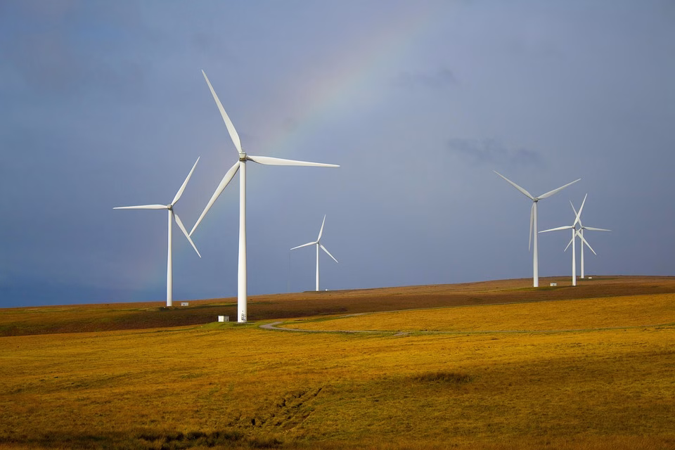 Sustainability in Software: Predictions for Green Innovations by 2025 Sustainability in Software: Predictions for Green Innovations by 2025