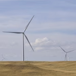 Sustainable Farming: How Tech Innovations are Feeding the Future