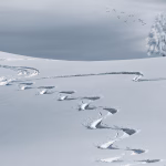 Navigating the CRM Landscape: How to Find the Perfect Fit for Your Team