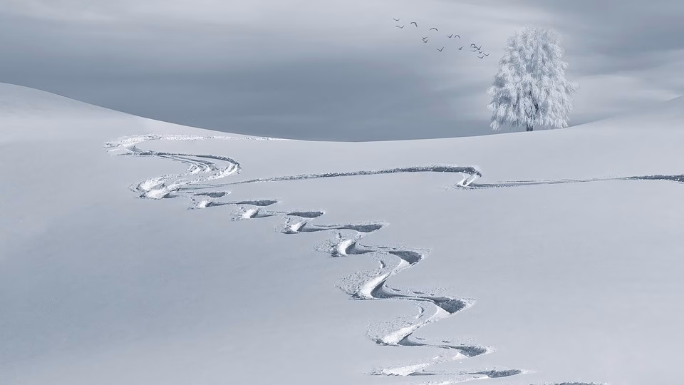 Navigating the CRM Landscape: How to Find the Perfect Fit for Your Team Navigating the CRM Landscape: How to Find the Perfect Fit for Your Team
