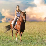 Riding the SaaS Wave: The Tools You Can’t Afford to Ignore