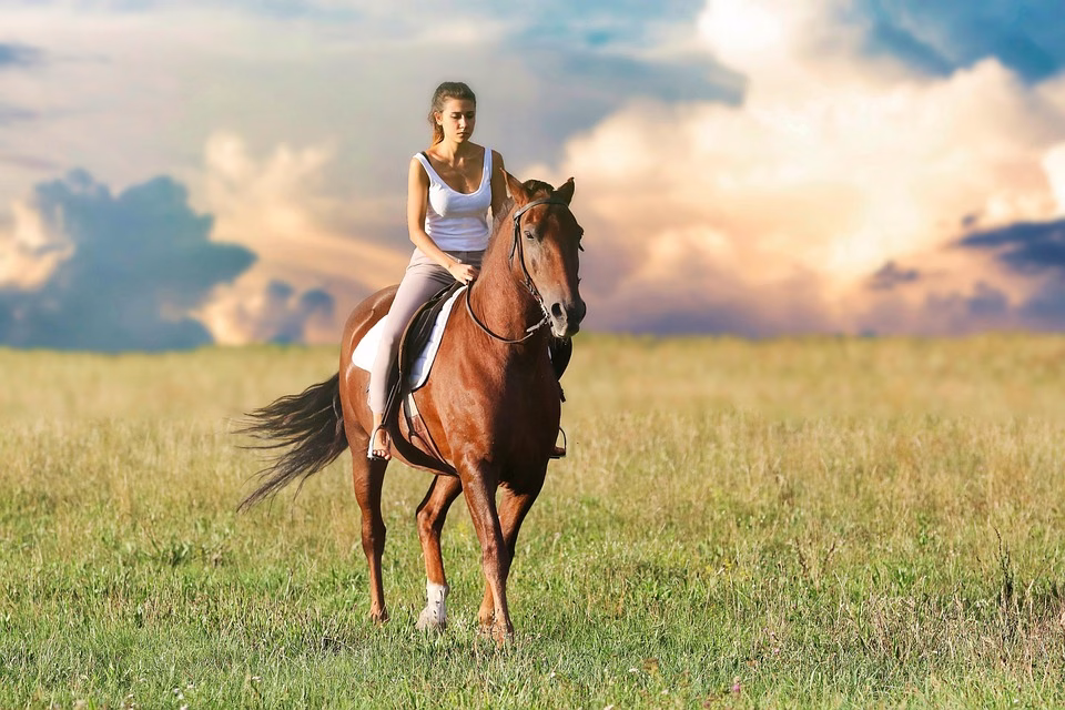 Riding the SaaS Wave: The Tools You Can’t Afford to Ignore Riding the SaaS Wave: The Tools You Can’t Afford to Ignore