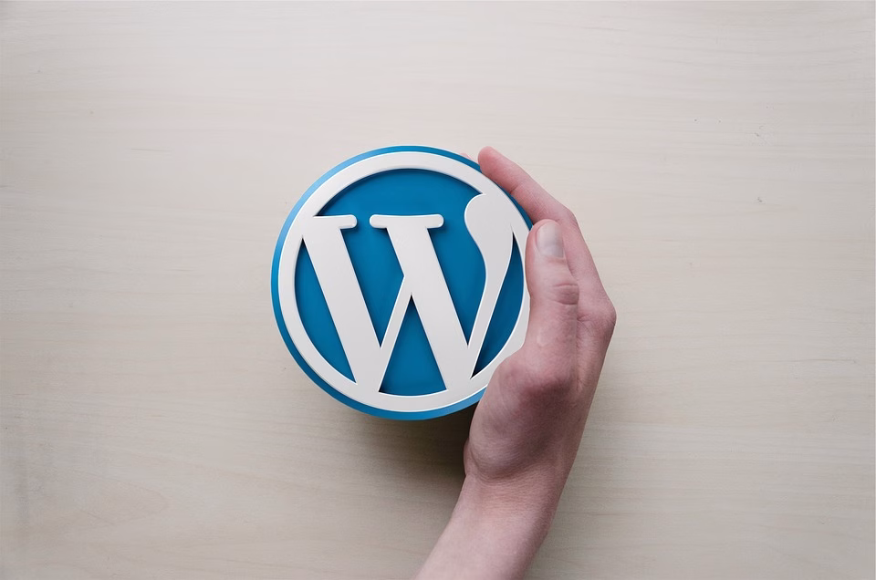 WordPress Made Easy: Follow These Step-by-Step Instructions to Succeed