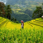 Women in Tech: Celebrating Progress and Paving the Way for Future Leaders