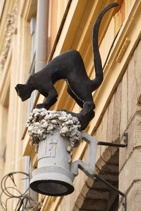 “The Power of Backlinks: Building an Effective Link-Building Strategy”