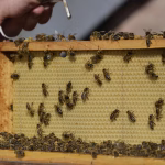 Keeping Up with Change: The Integral Role of Payroll in Modern HRMS