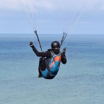 Harnessing Digital Trends: How Technology is Shaping Modern Entrepreneurship